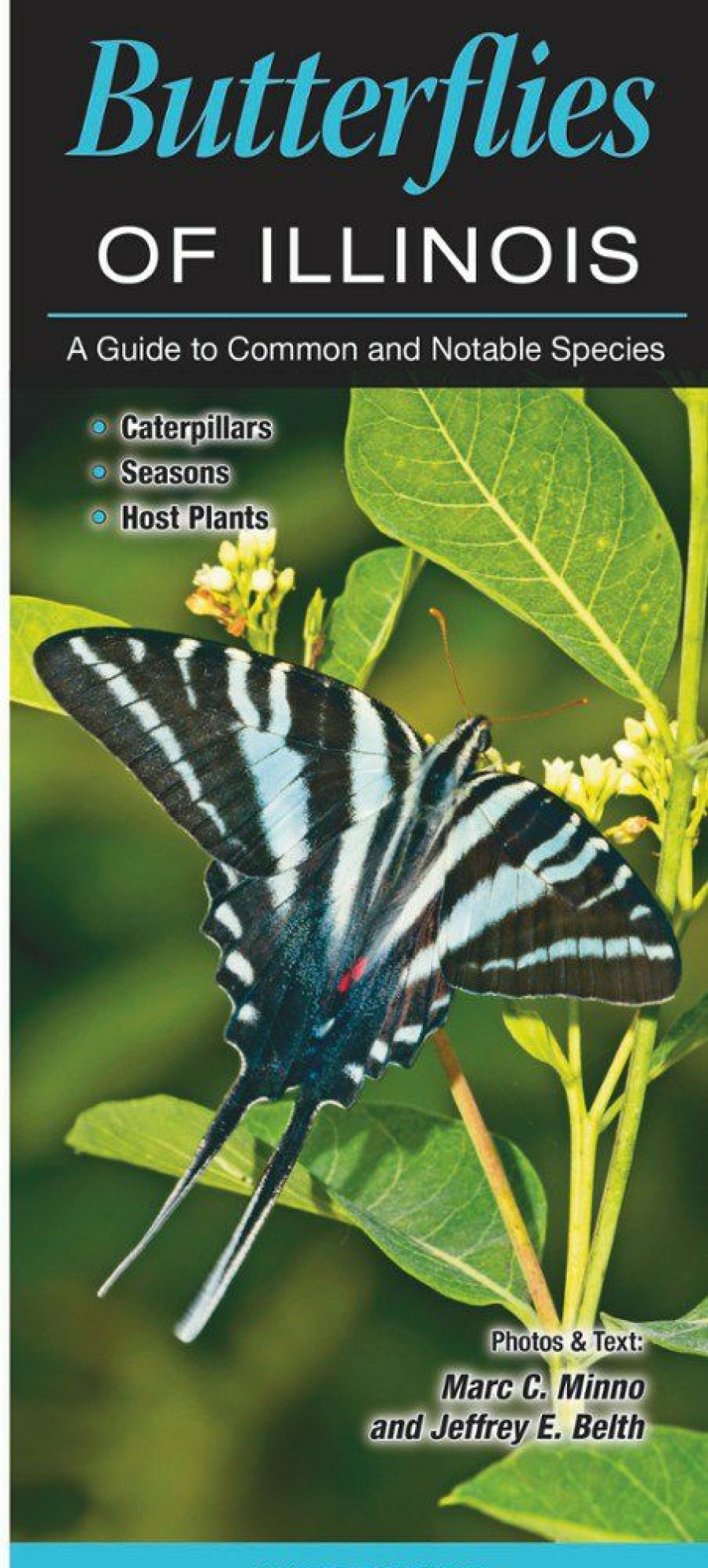 Books And Maps * | Quick Reference Publishing Butterflies Of Illinois