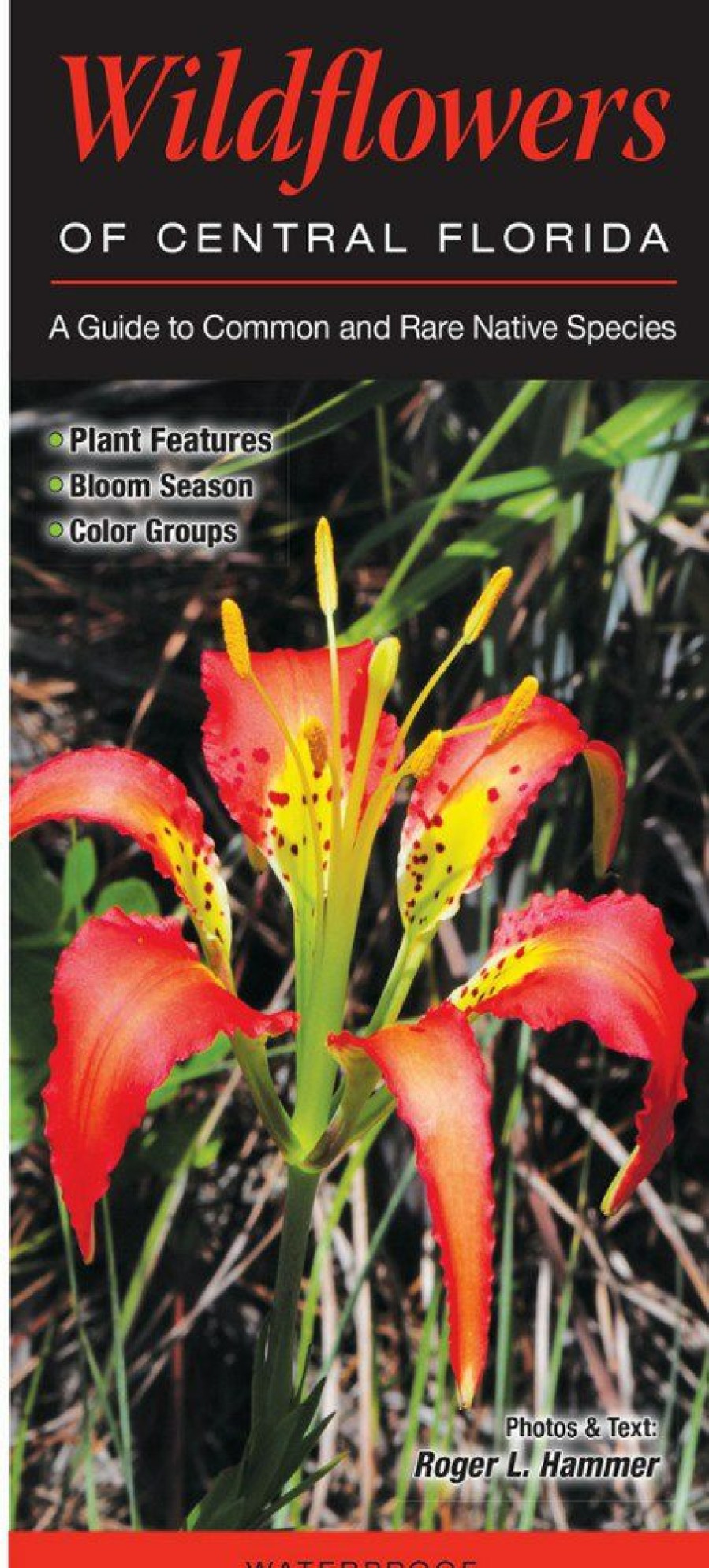 Books And Maps * | Quick Reference Publishing Wildflowers Of Central Florida