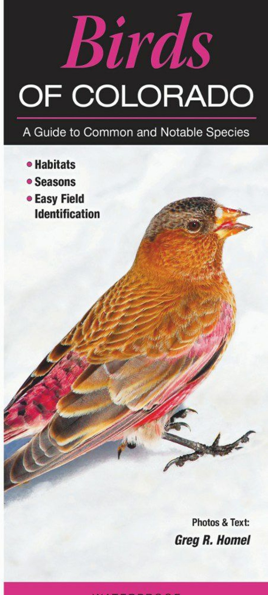 Books And Maps * | Quick Reference Publishing Birds Of Colorado