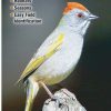 Books And Maps * | Quick Reference Publishing Birds Of Nevada