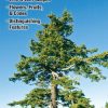 Books And Maps * | Quick Reference Publishing Trees Of The Pacific Northwest