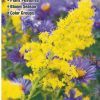 Books And Maps * | Quick Reference Publishing Wildflowers Of New York City