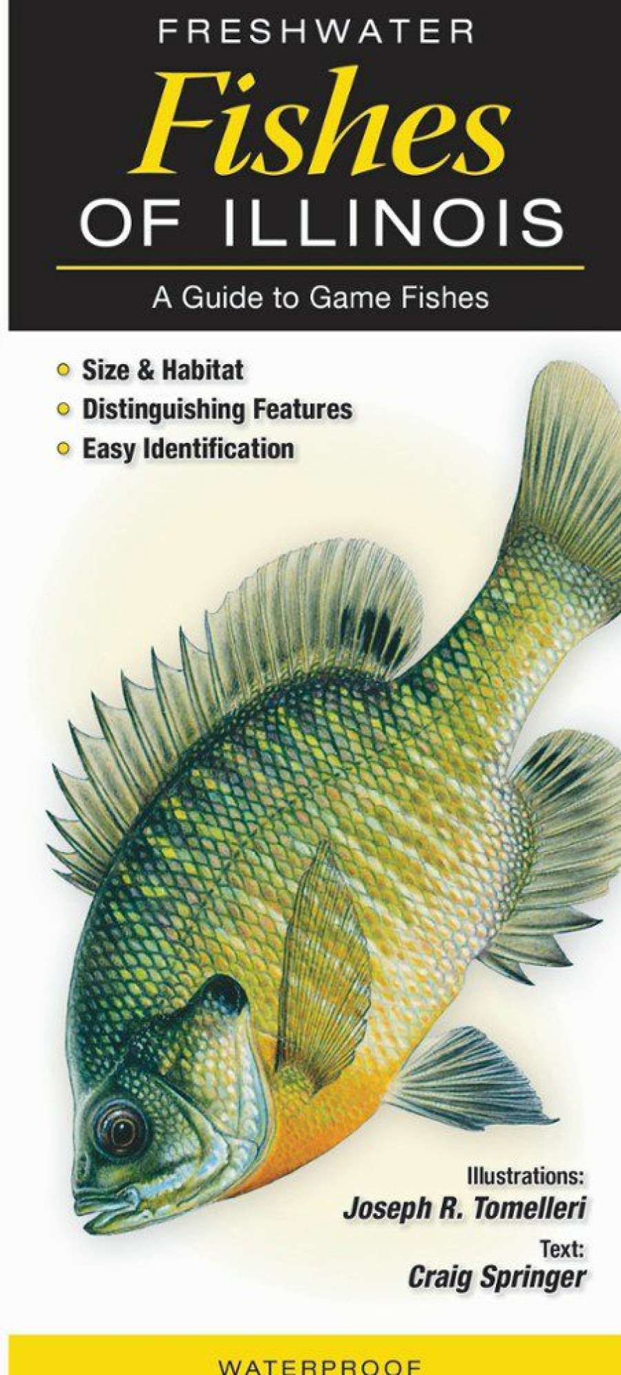 Books And Maps * | Quick Reference Publishing Freshwater Fishes Of Illinois