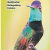 Books And Maps * | Quick Reference Publishing Hummingbirds Of North America