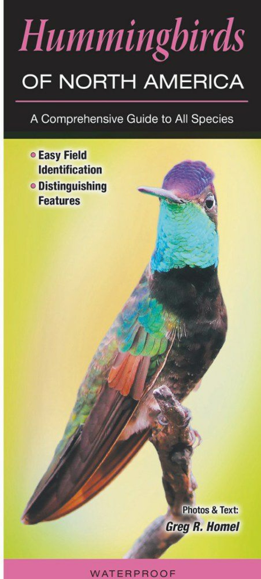 Books And Maps * | Quick Reference Publishing Hummingbirds Of North America