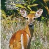 Books And Maps * | Quick Reference Publishing Wildlife Of Texas