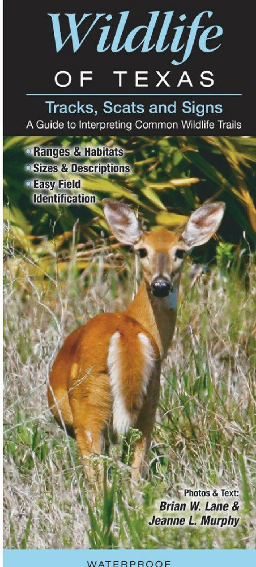 Books And Maps * | Quick Reference Publishing Wildlife Of Texas