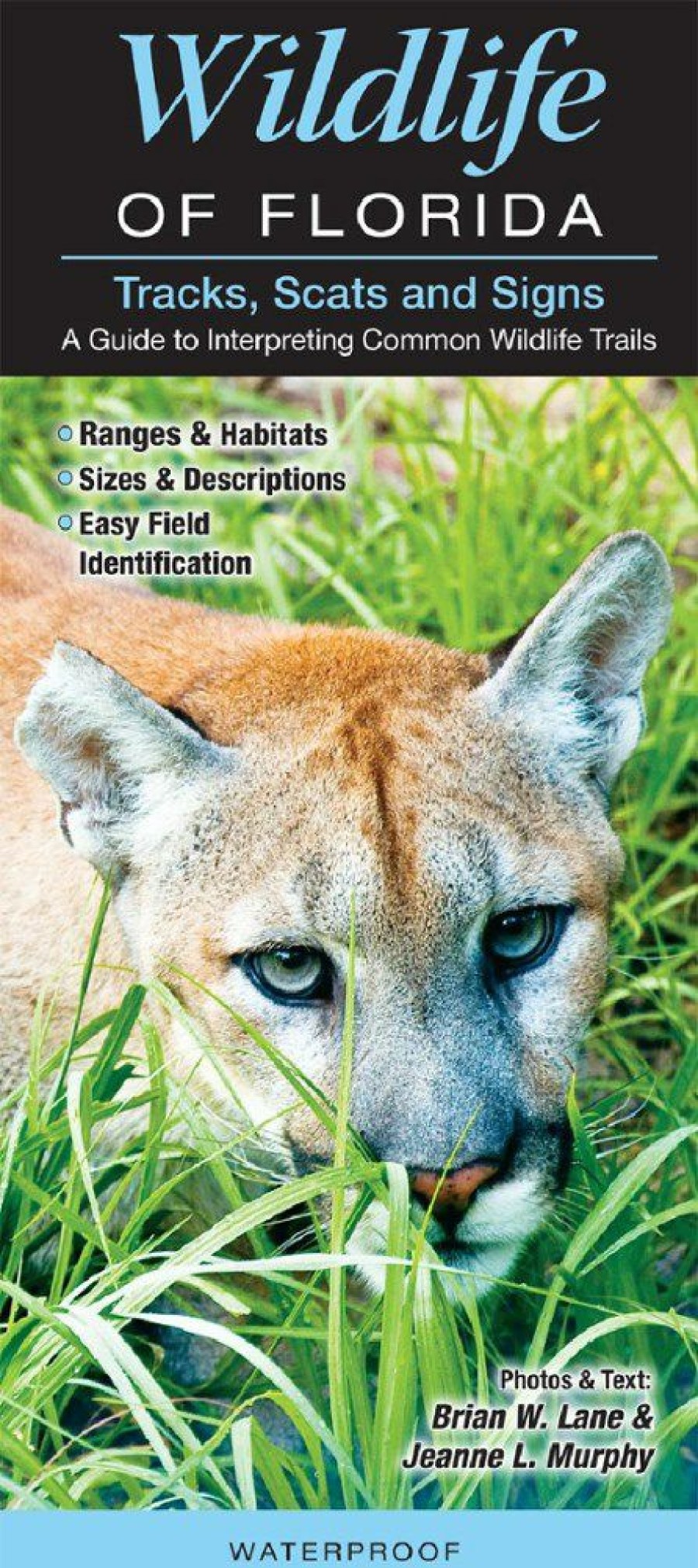 Books And Maps * | Quick Reference Publishing Wildlife Of Florida