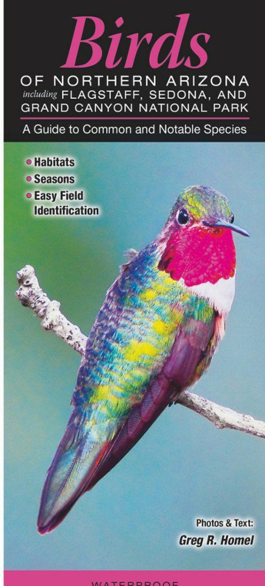 Books And Maps * | Quick Reference Publishing Birds Of Northern Arizona