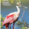 Books And Maps * | Quick Reference Publishing Birds Of Southeast Texas And The Upper Texas Coast