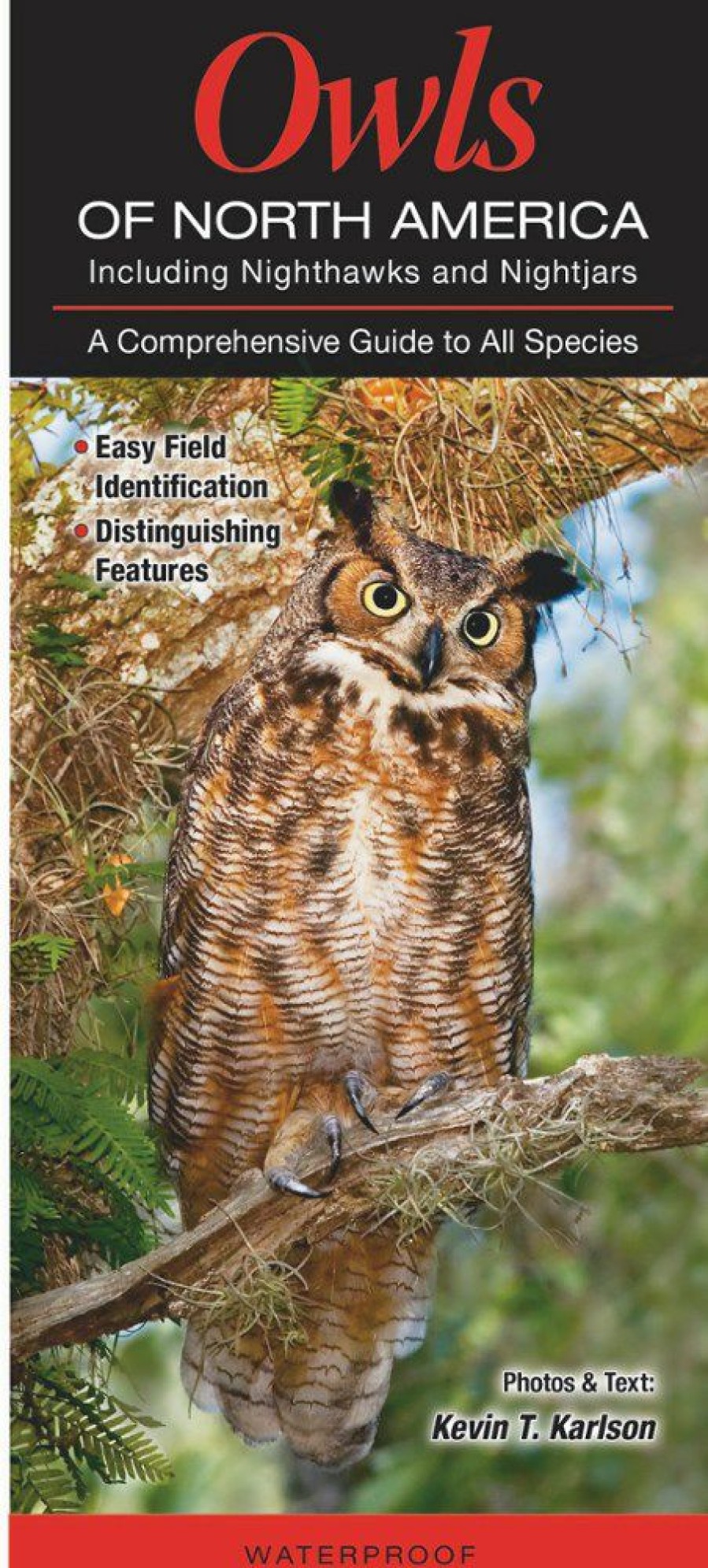 Books And Maps * | Quick Reference Publishing Owls Of North America