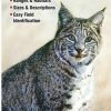 Books And Maps * | Quick Reference Publishing Mammals Of The Great Basin