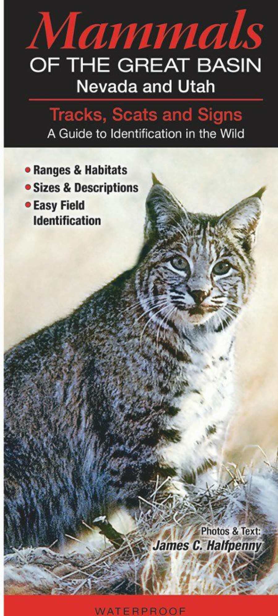 Books And Maps * | Quick Reference Publishing Mammals Of The Great Basin