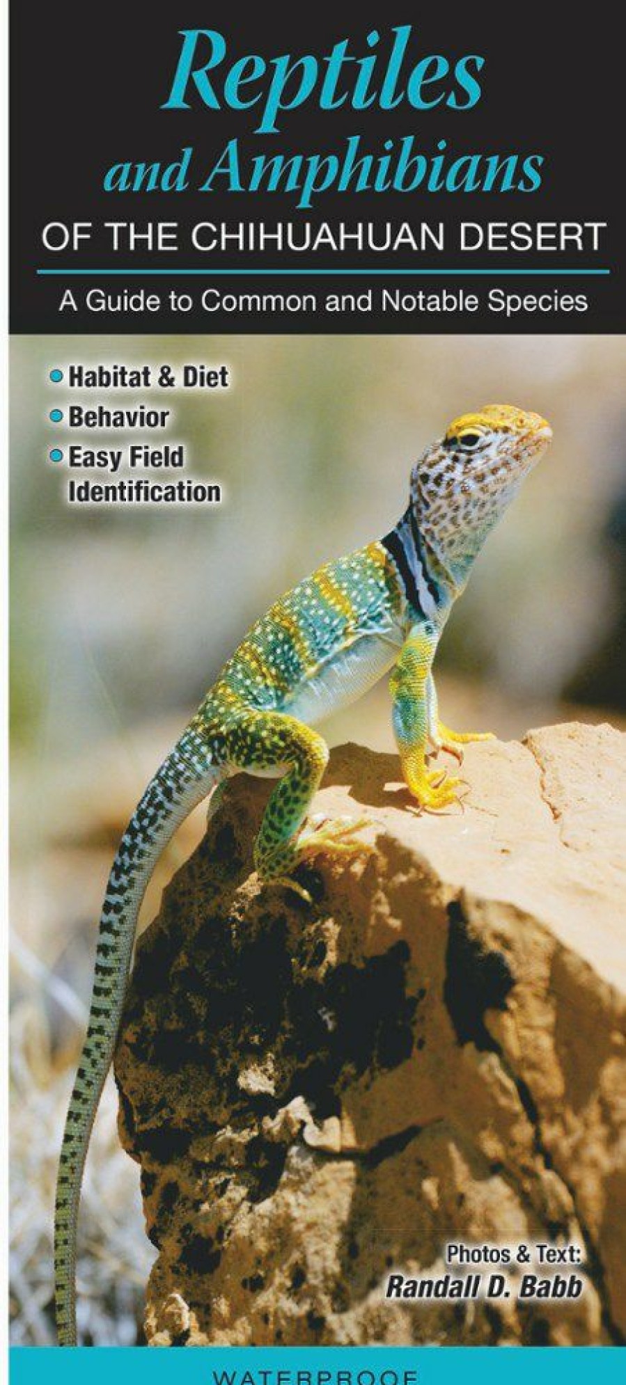 Books And Maps * | Quick Reference Publishing Reptiles And Amphibians Of The Chihuahuan Desert