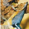 Books And Maps * | Quick Reference Publishing Birds Of Utah