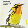 Books And Maps * | Quick Reference Publishing Warblers Of North America