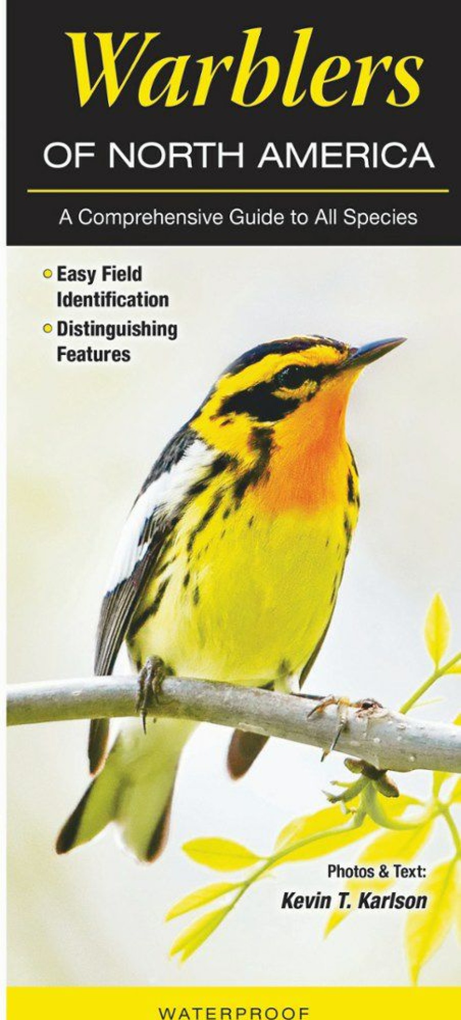 Books And Maps * | Quick Reference Publishing Warblers Of North America