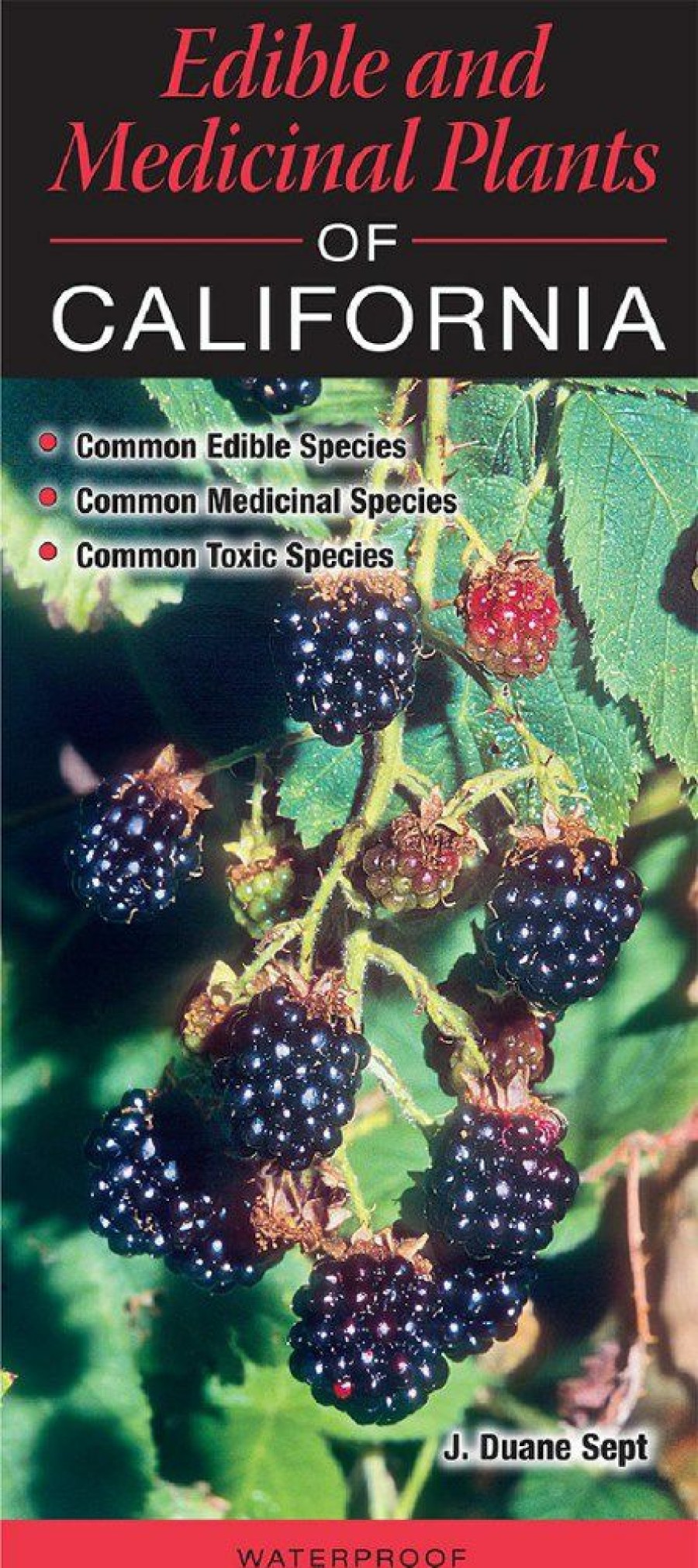 Books And Maps * | Quick Reference Publishing Edible And Medicinal Plants Of California