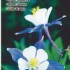 Books And Maps * | Quick Reference Publishing Wildflowers Of The Southern Rocky Mountains