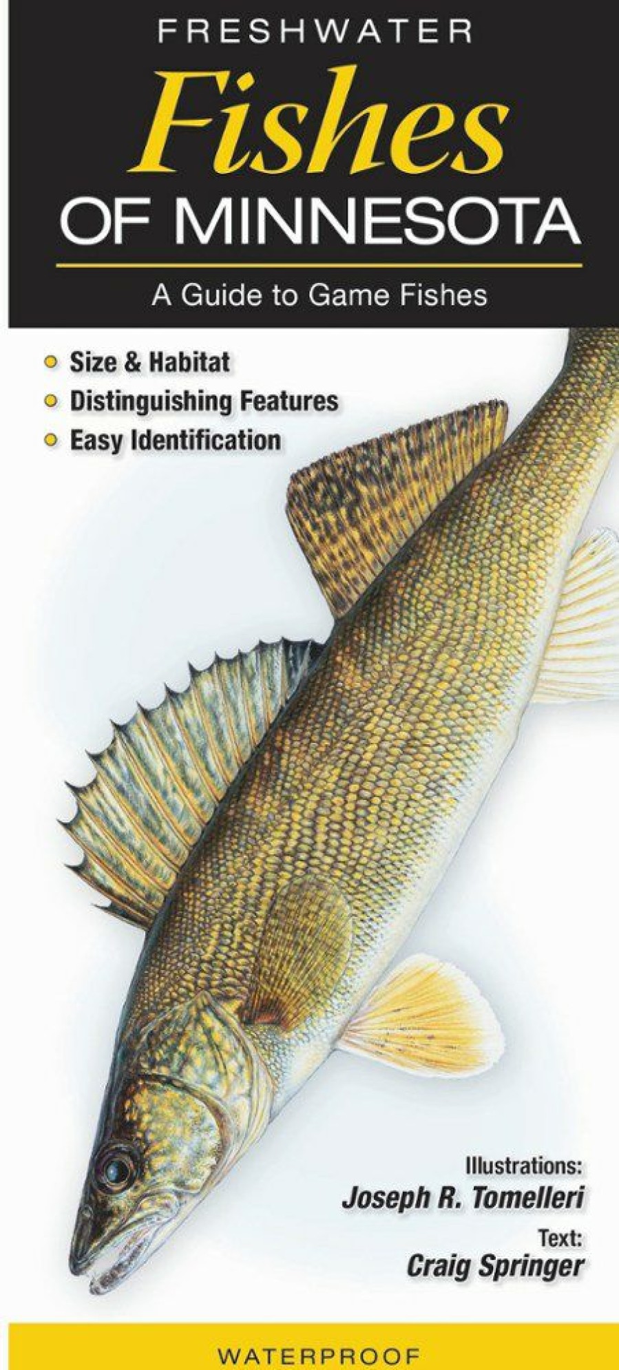 Books And Maps * | Quick Reference Publishing Freshwater Fishes Of Minnesota