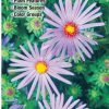 Books And Maps * | Quick Reference Publishing Wildflowers Of North Texas