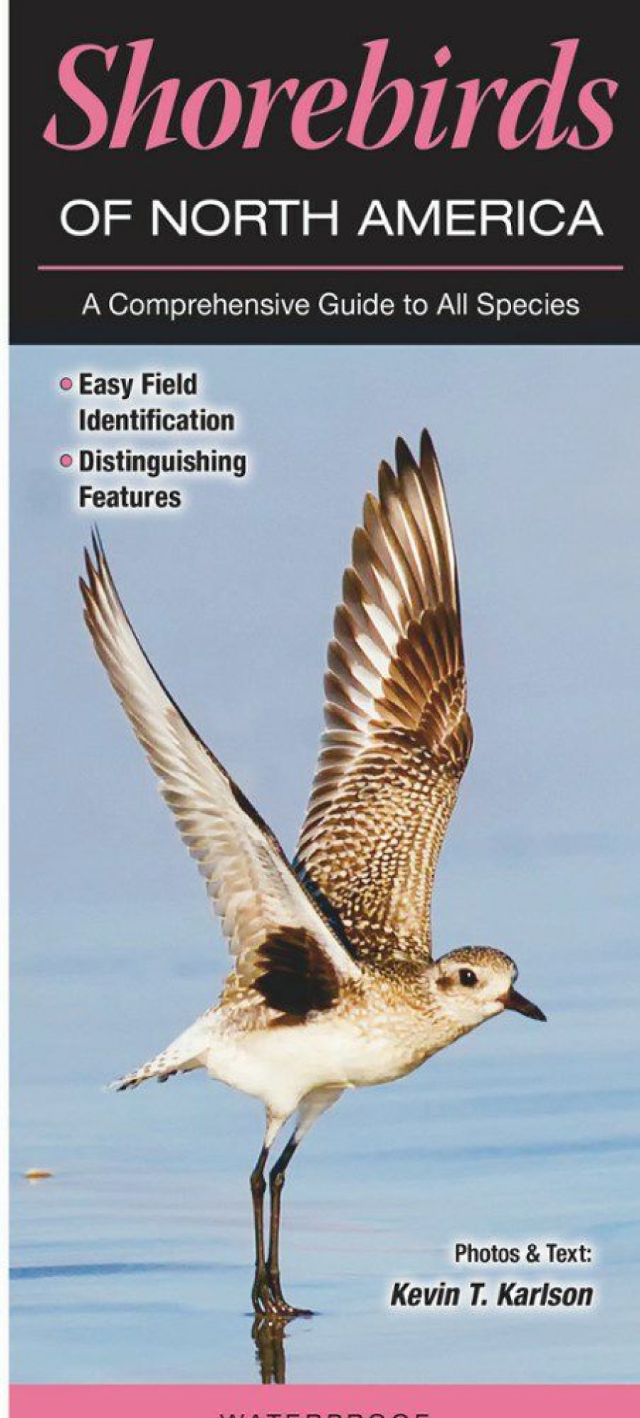 Books And Maps * | Quick Reference Publishing Shorebirds Of North America