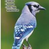 Books And Maps * | Quick Reference Publishing Birds Of Wisconsin