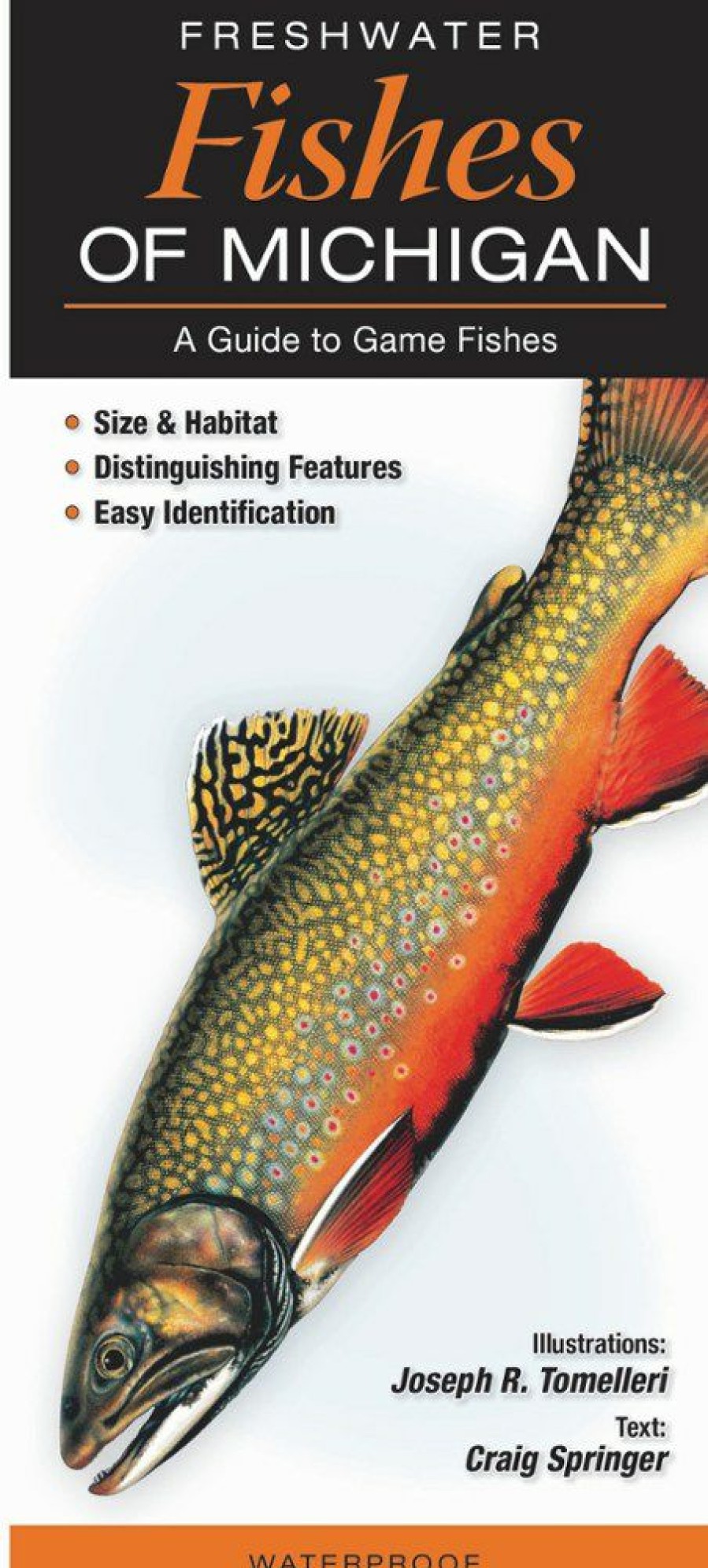 Books And Maps * | Quick Reference Publishing Freshwater Fishes Of Michigan