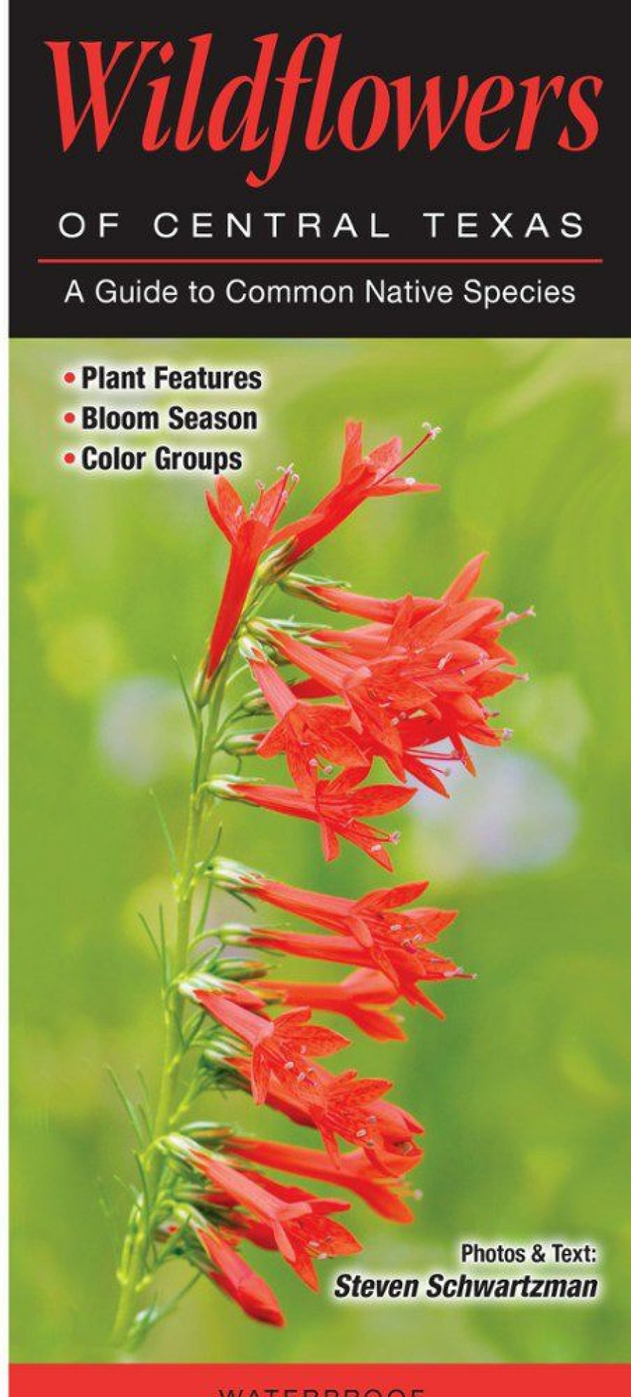 Books And Maps * | Quick Reference Publishing Wildflowers Of Central Texas