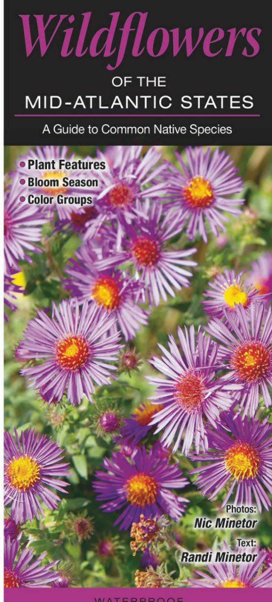 Books And Maps * | Quick Reference Publishing Wildflowers Of The Mid-Atlantic States