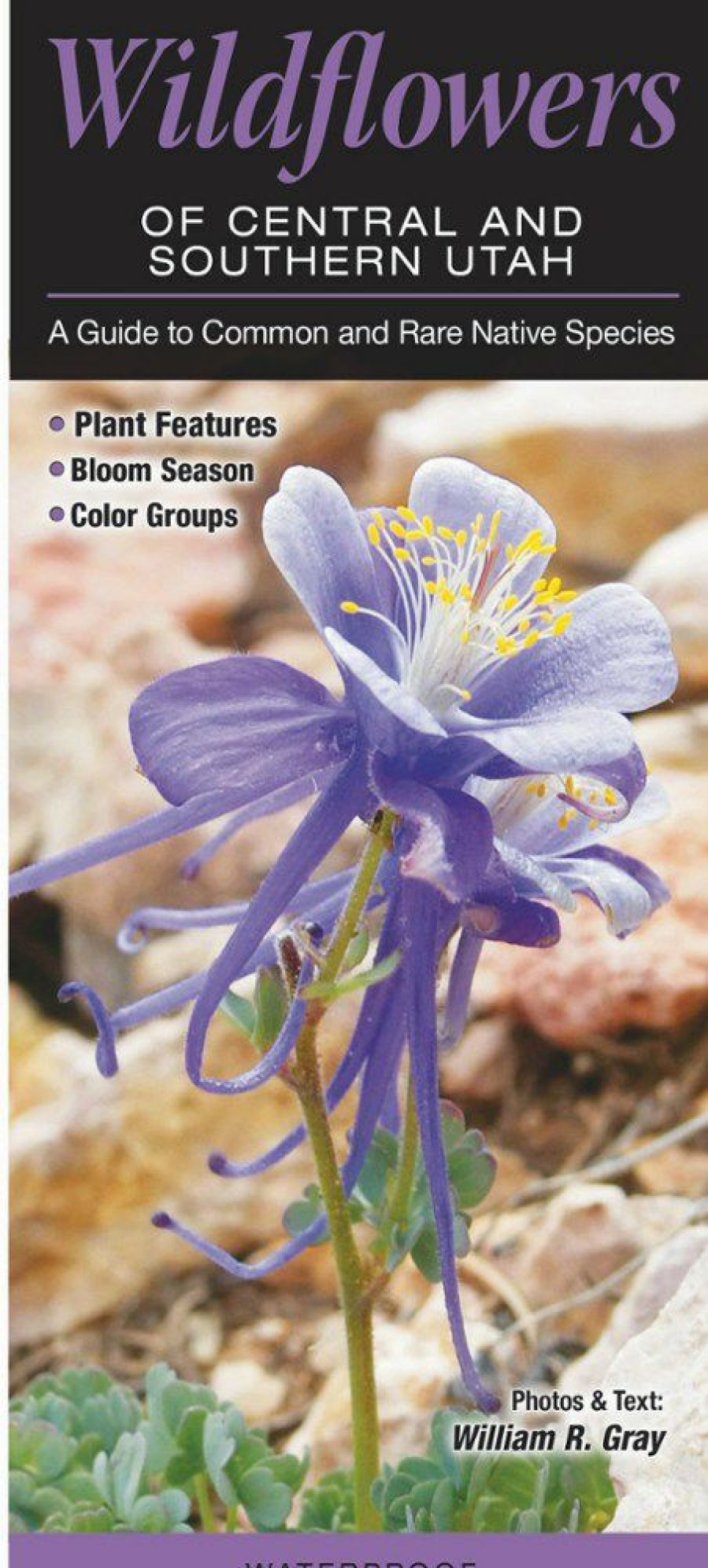 Books And Maps * | Quick Reference Publishing Wildflowers Of Central And Southern Utah