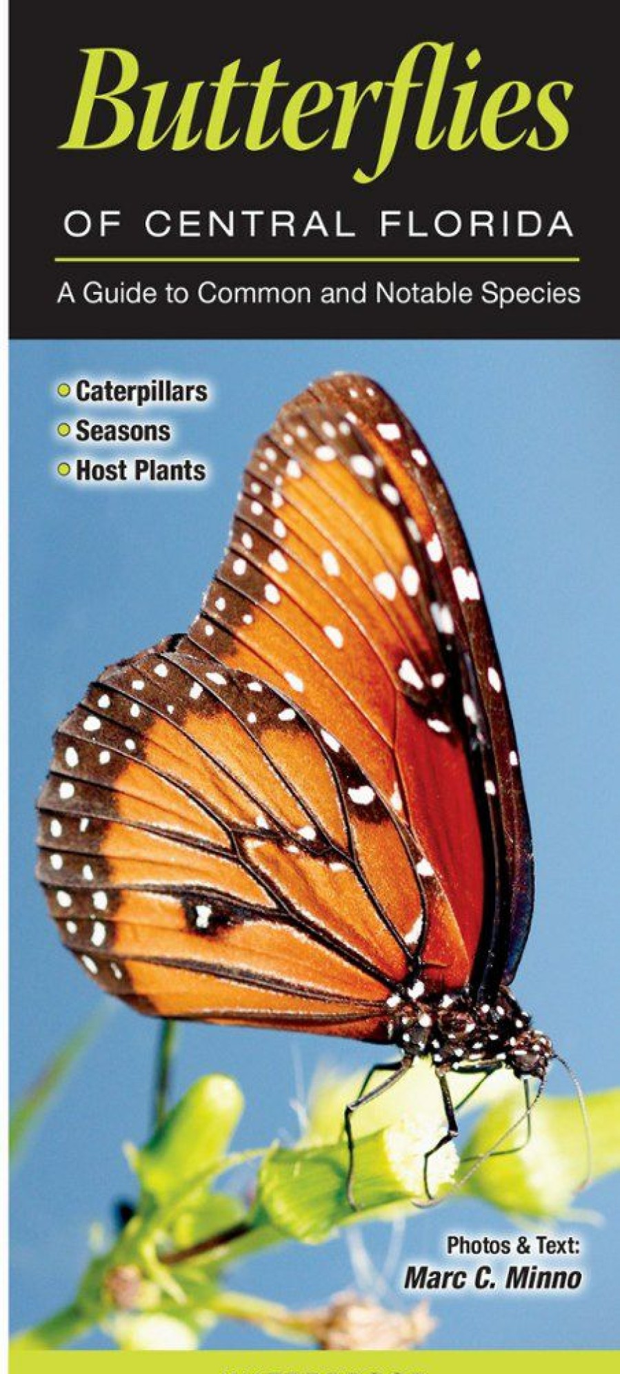 Books And Maps * | Quick Reference Publishing Butterflies Of Central Florida