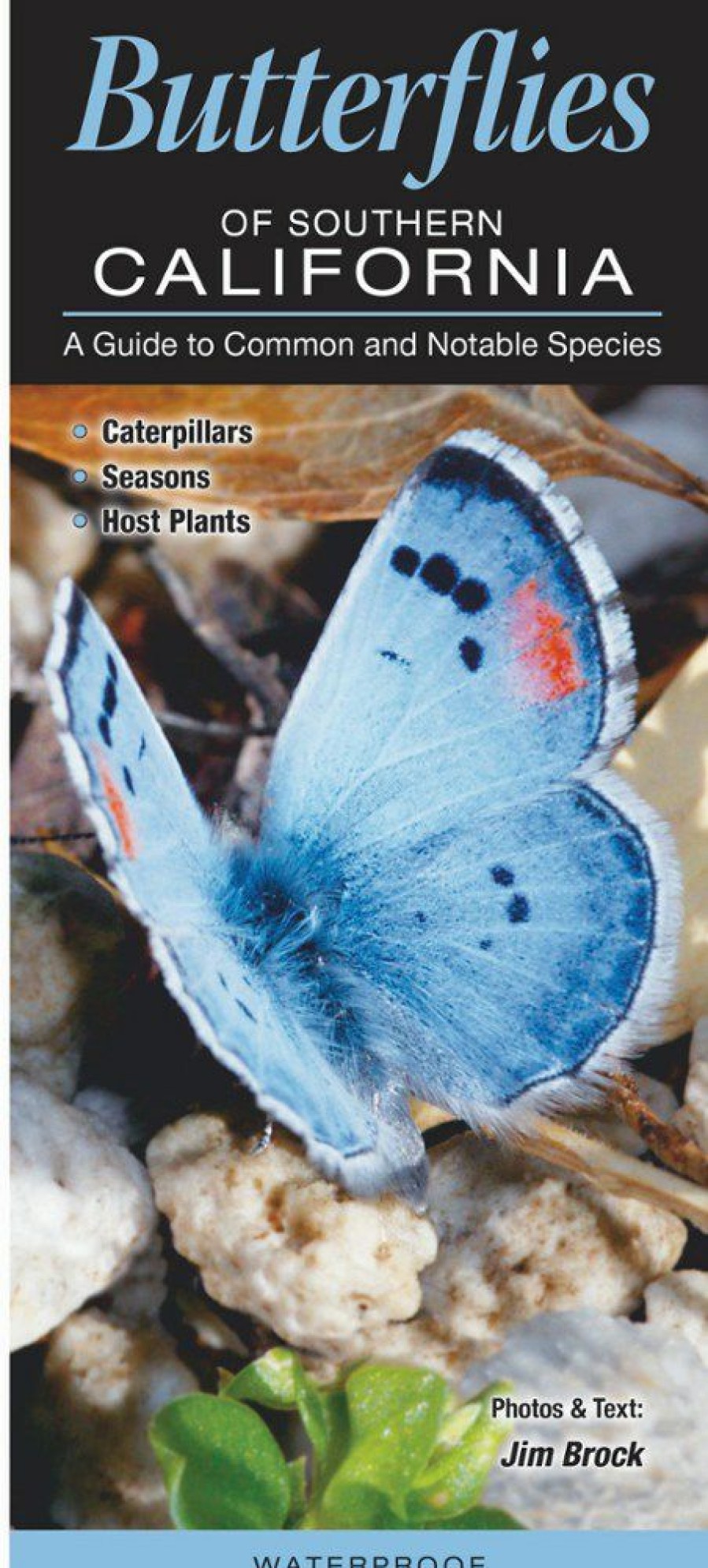 Books And Maps * | Quick Reference Publishing Butterflies Of Southern California