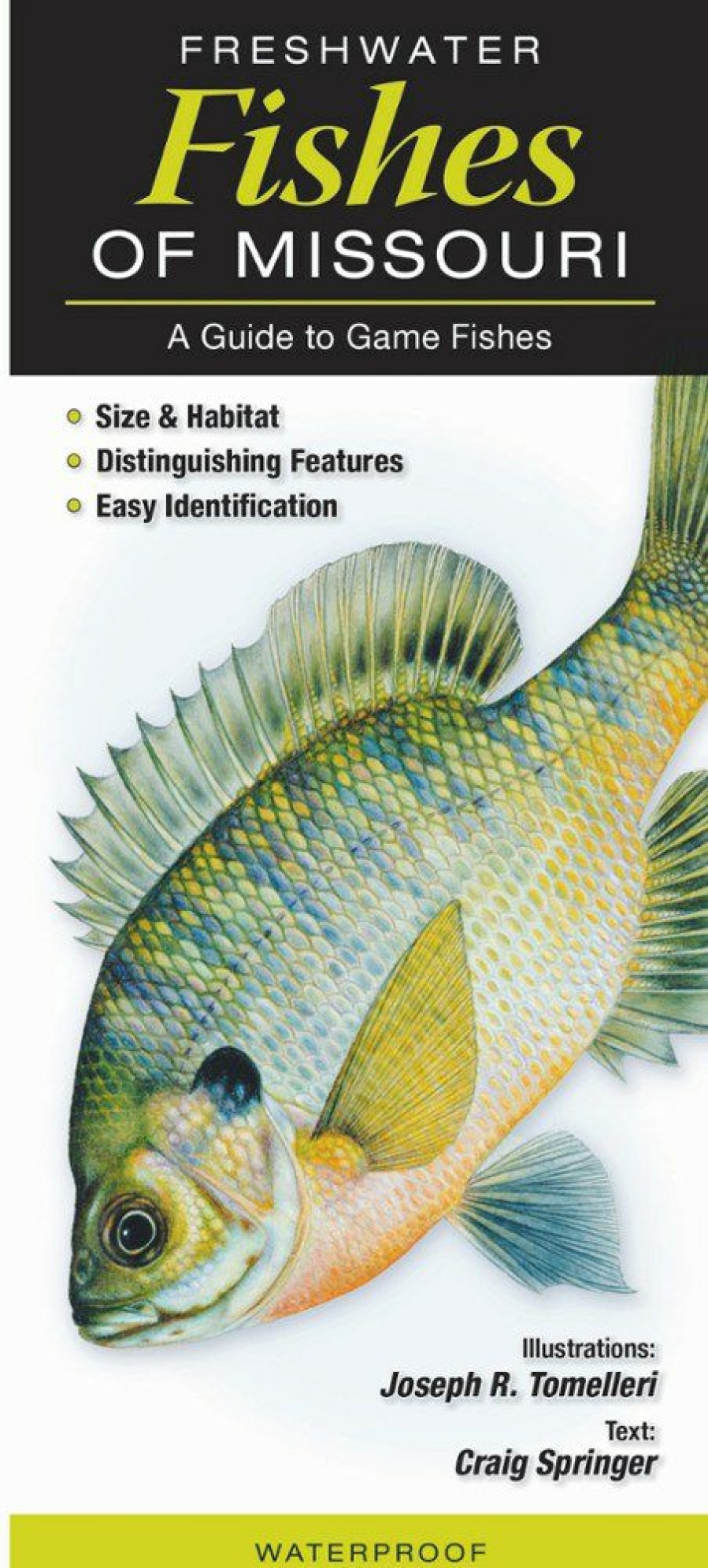 Books And Maps * | Quick Reference Publishing Freshwater Fishes Of Missouri