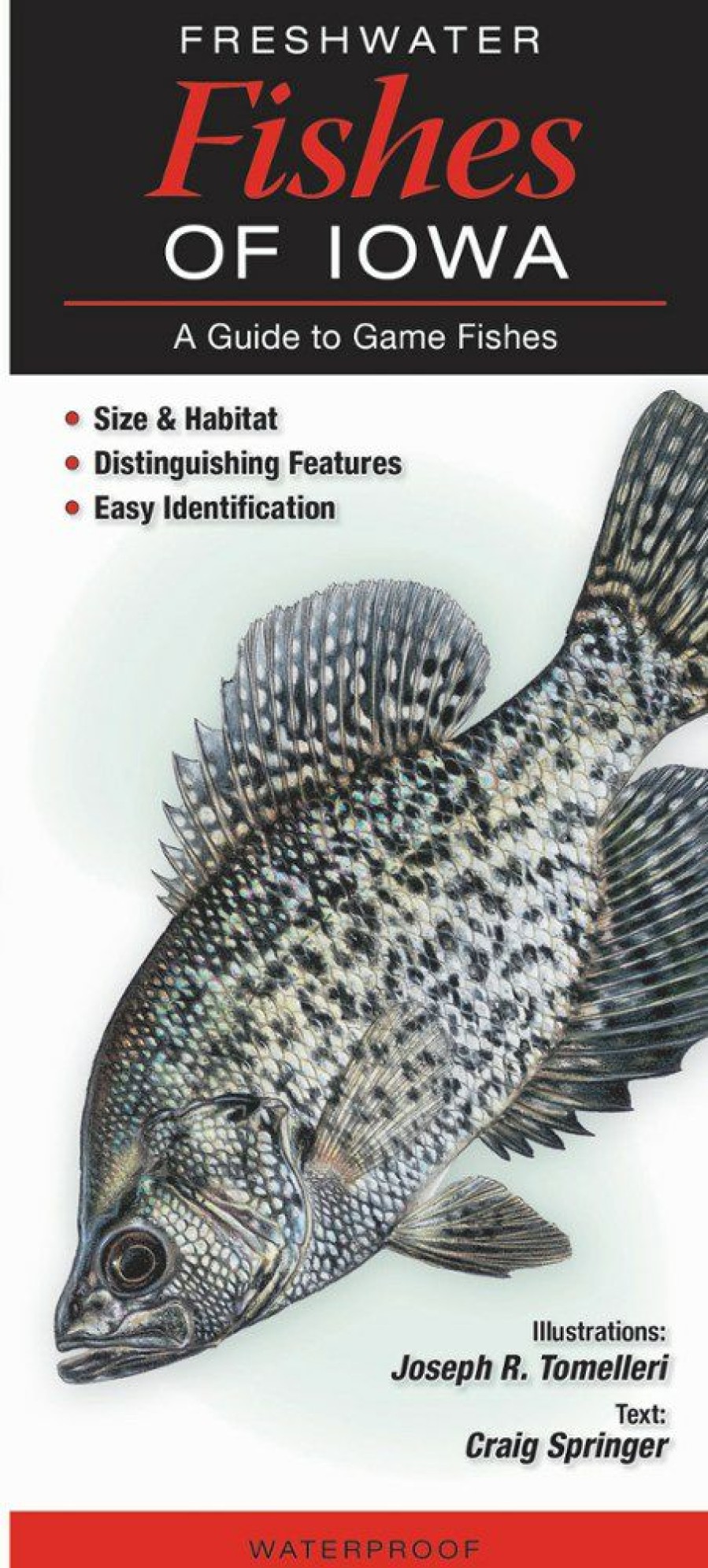 Books And Maps * | Quick Reference Publishing Freshwater Fishes Of Iowa