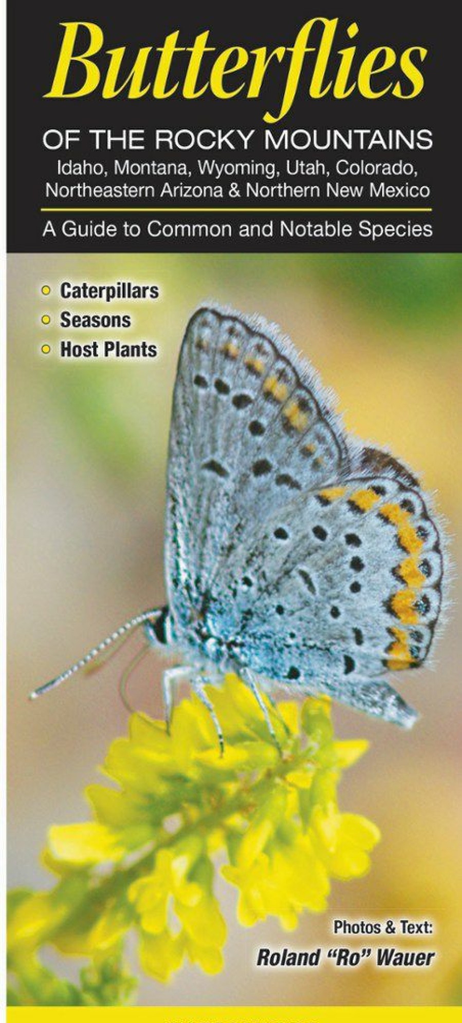 Books And Maps * | Quick Reference Publishing Butterflies Of The Rocky Mountains