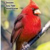 Books And Maps * | Quick Reference Publishing Birds Of Virginia