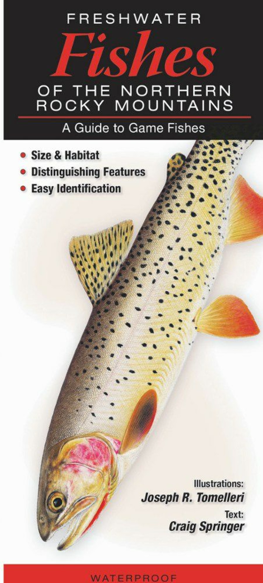 Books And Maps * | Quick Reference Publishing Freshwater Fishes Of The Northern Rocky Mountains