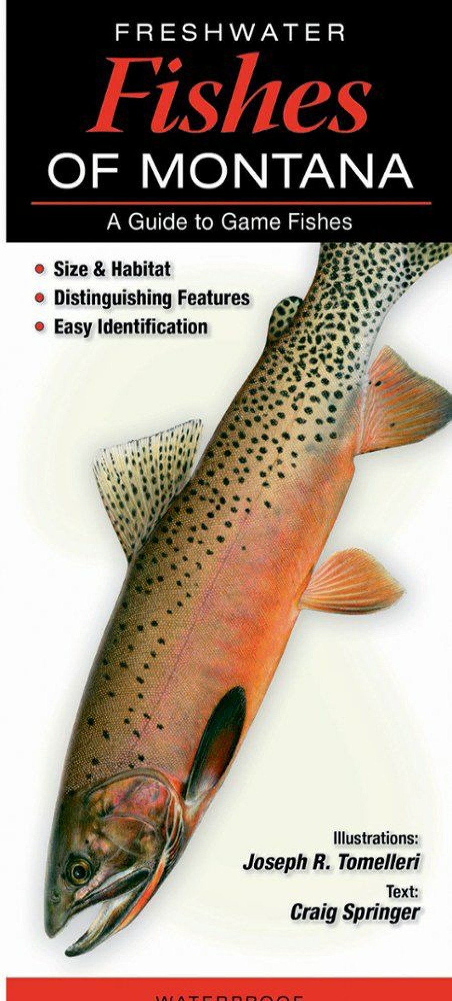 Books And Maps * | Quick Reference Publishing Freshwater Fishes Of Montana