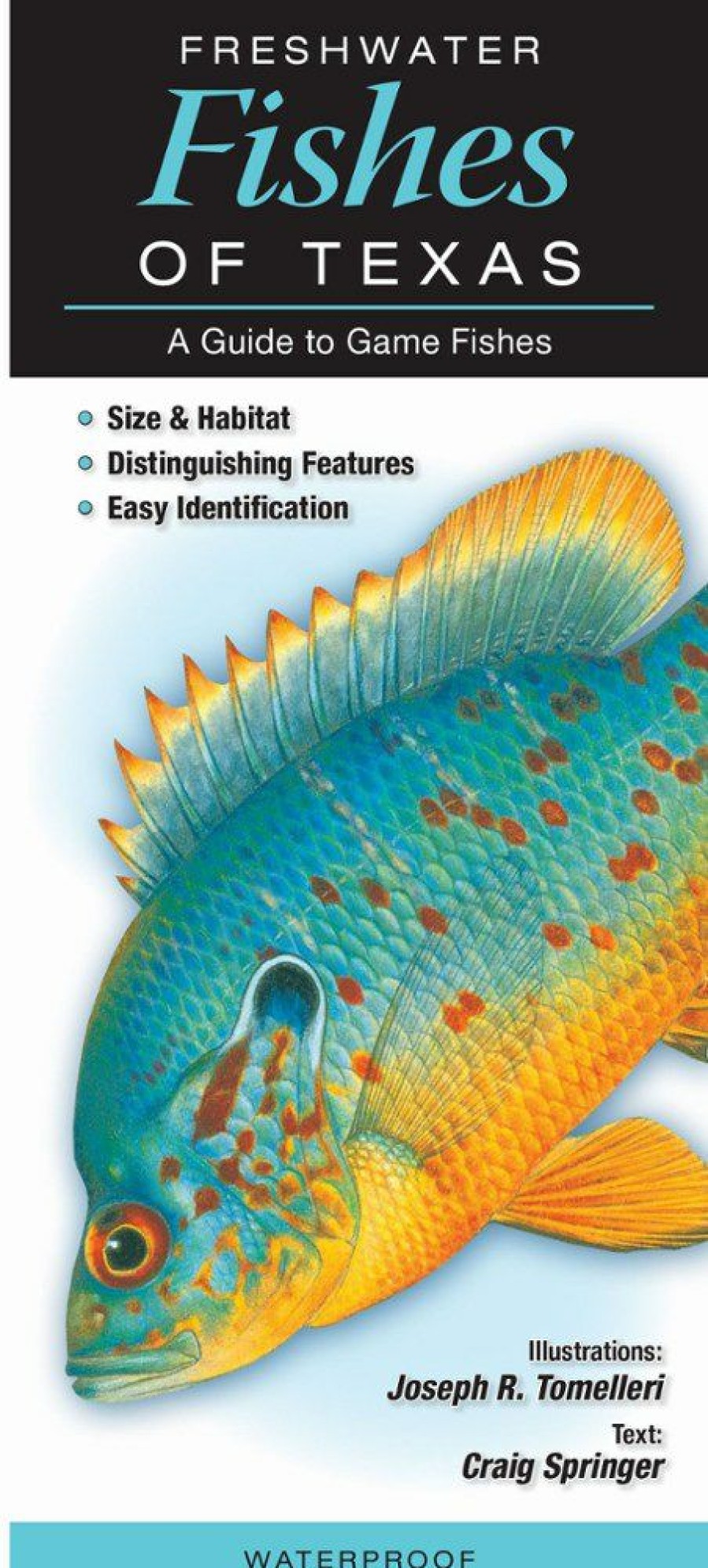 Books And Maps * | Quick Reference Publishing Freshwater Fishes Of Texas