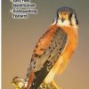 Books And Maps * | Quick Reference Publishing Raptors Of Eastern North America