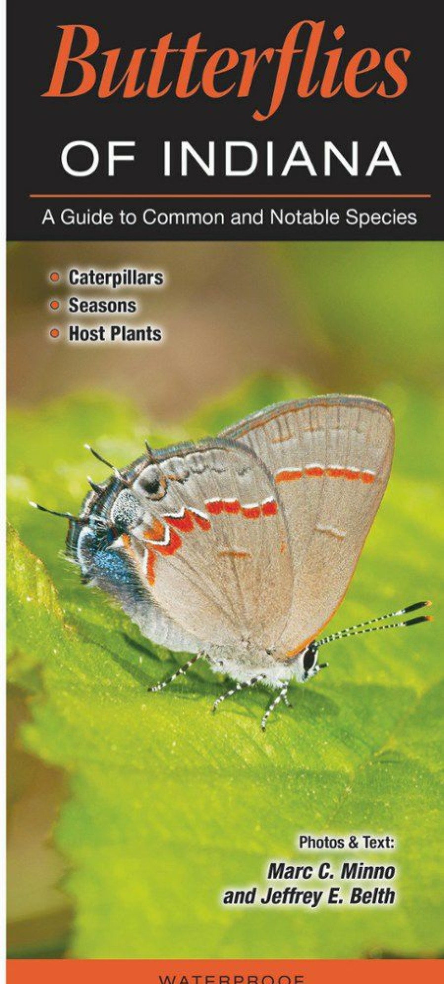 Books And Maps * | Quick Reference Publishing Butterflies Of Indiana