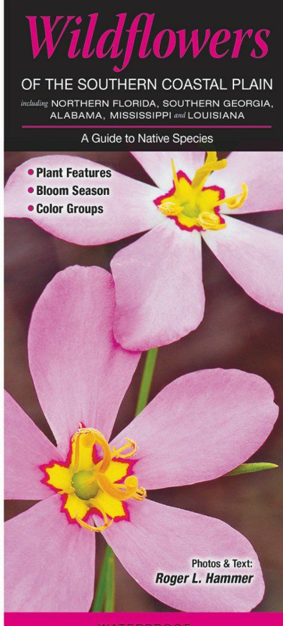 Books And Maps * | Quick Reference Publishing Wildflowers Of The Southern Coastal Plain