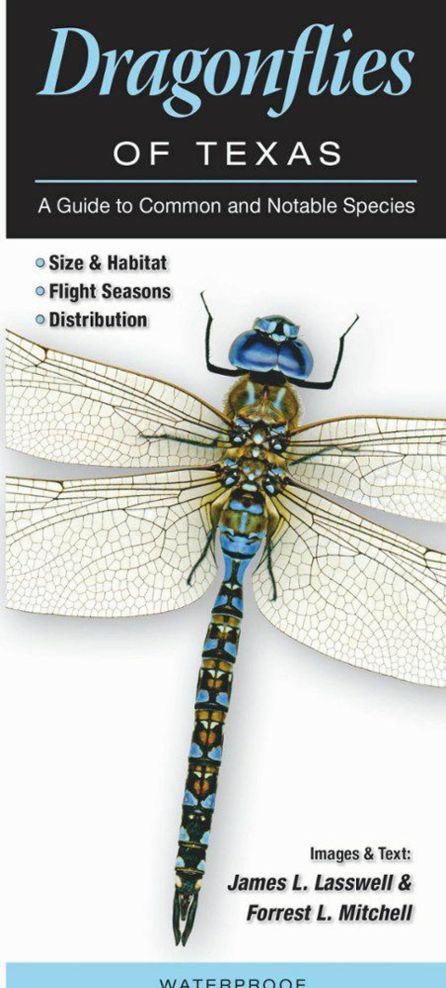 Books And Maps * | Quick Reference Publishing Dragonflies Of Texas