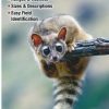 Books And Maps * | Quick Reference Publishing Mammals Of Arizona