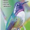 Books And Maps * | Quick Reference Publishing Birds Of Southwest Arizona And Southeast California