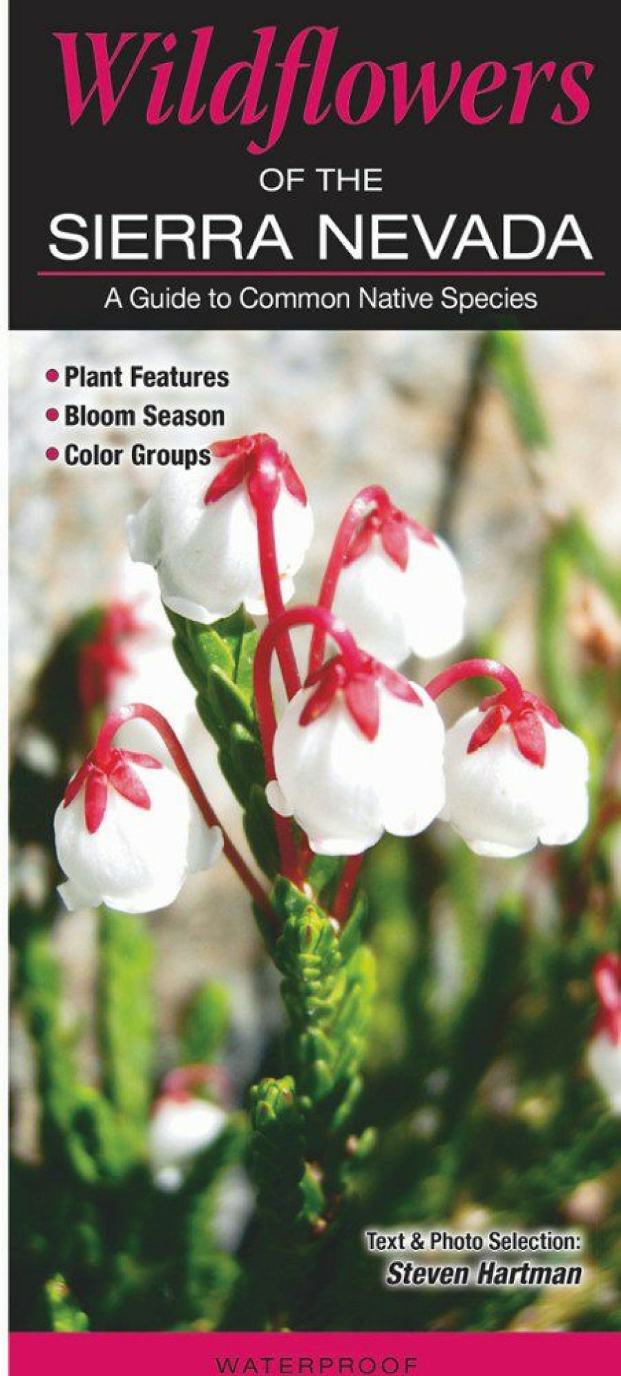 Books And Maps * | Quick Reference Publishing Wildflowers Of The Sierra Nevada