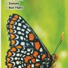 Books And Maps * | Quick Reference Publishing Butterflies Of Ohio