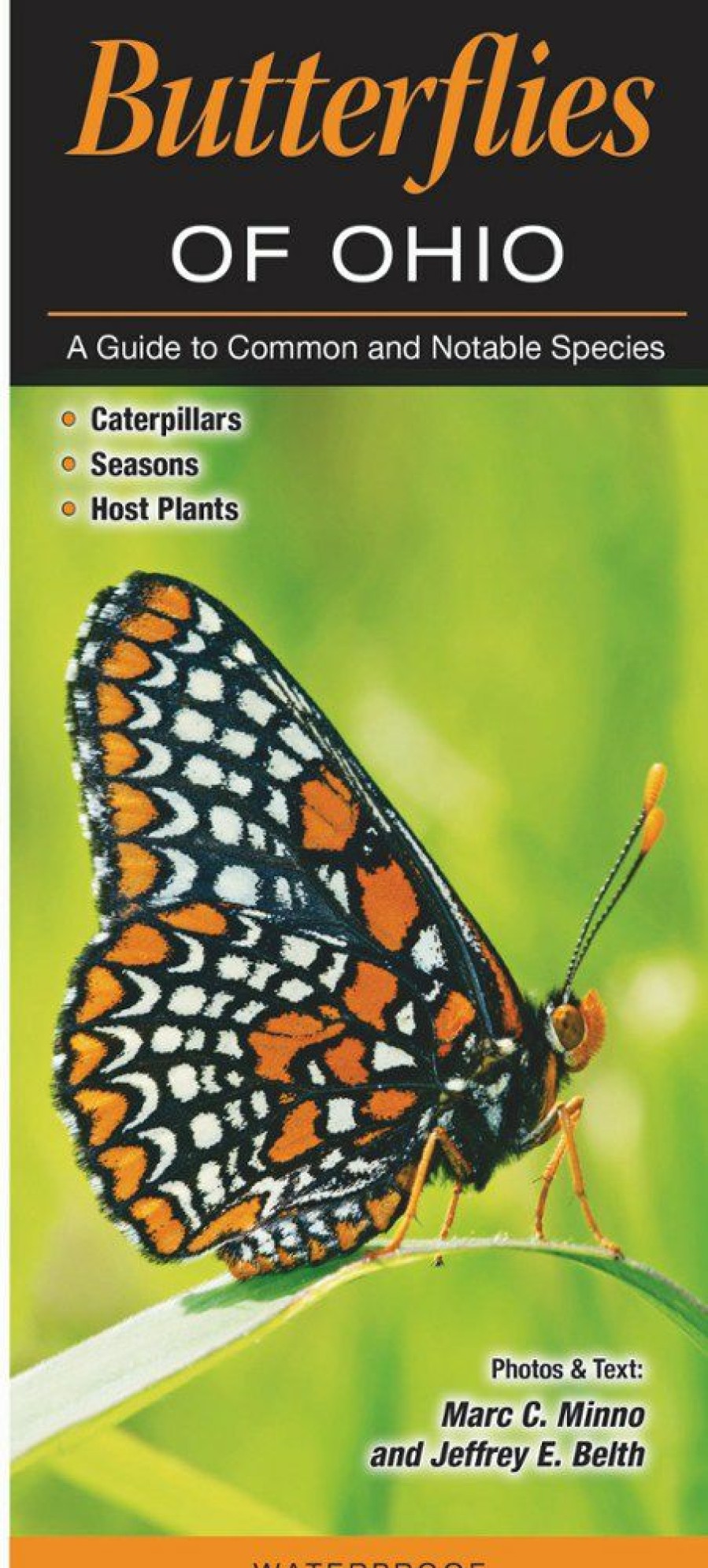 Books And Maps * | Quick Reference Publishing Butterflies Of Ohio