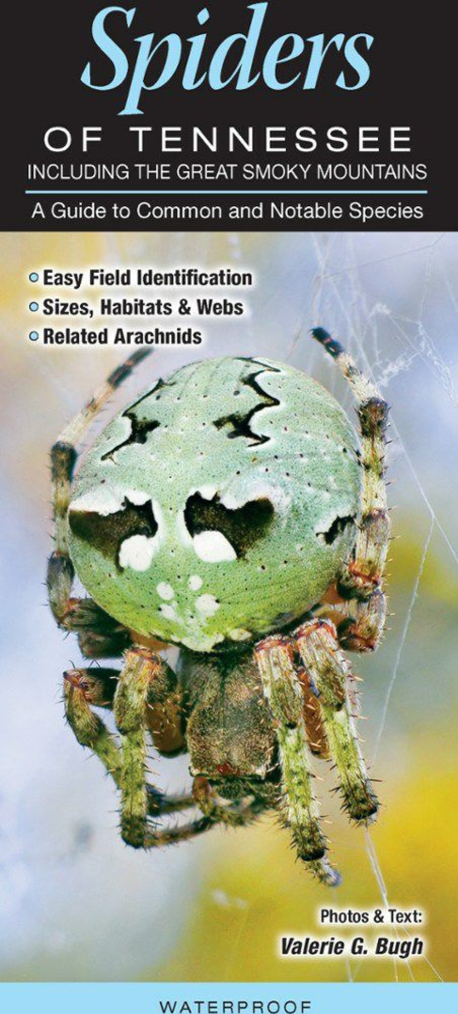 Books And Maps * | Quick Reference Publishing Spiders Of Tennessee